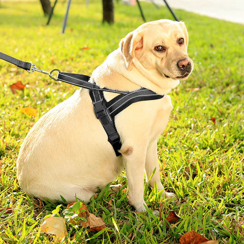 Anti-pull dog harness with LED light and reflector