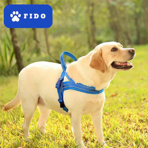 Anti-pull dog harness with LED light and reflector