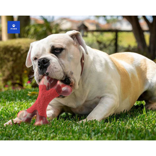 Fido chew bone - sturdy dog bone that lasts