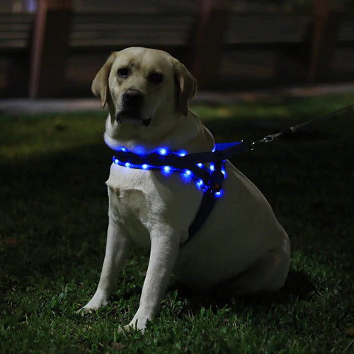 Anti-pull dog harness with LED light and reflector