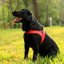 Anti-pull dog harness with LED light and reflector